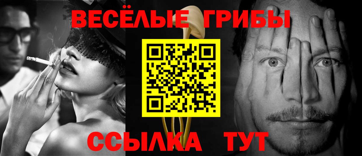 Псилоцибиновые грибы мухоморы  Вход с VPN  купить наркотики цена  Муравленко 