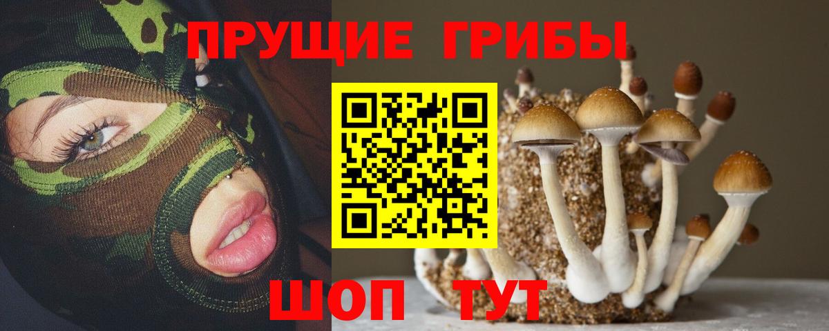 Псилоцибиновые грибы ЛСД Муравленко